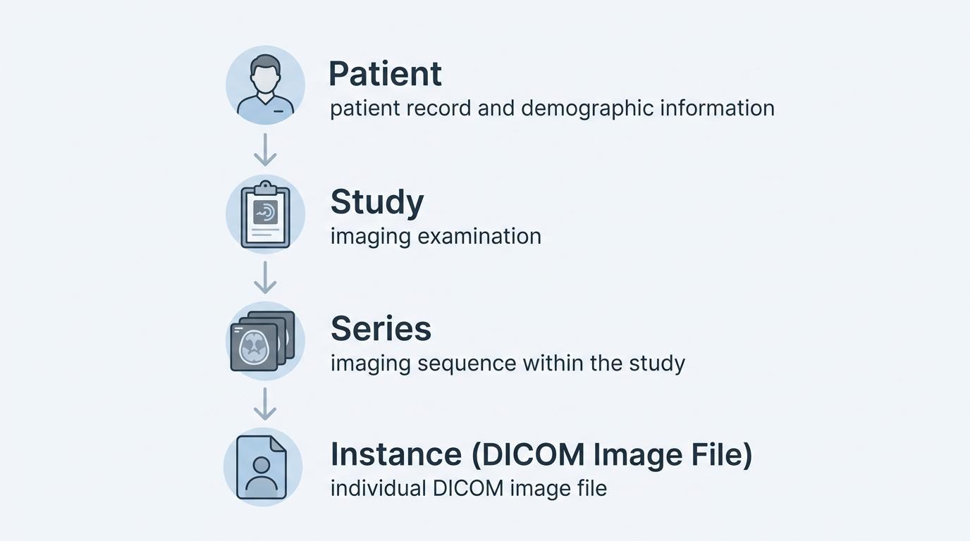 Hiérarchie des données DICOM montrant le patient, l'étude, la série et les fichiers d'images DICOM individuels